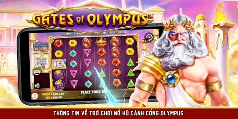 Các thông tin cơ bản cần biết về cổng Olympus hấp dẫn