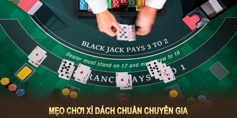 Mẹo chơi Xì Dách chuẩn chuyên gia giúp tăng cơ hội thắng lớn